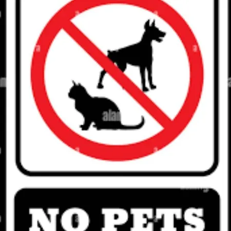 In The Heart Of The 3a * 拉里萨