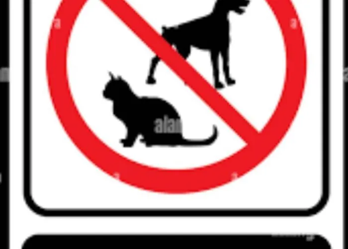 In The Heart Of The 3a * Λάρισα